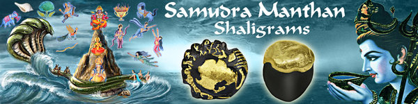 Samudra Manthan Shaligram.jpg