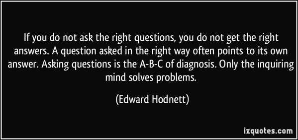 1aaa-if-you-do-not-ask-the-right-questions-you-do-not-get-the-right-answers..jpg