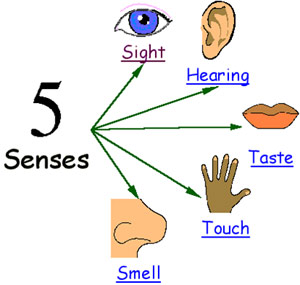 1aa-5-senses.jpg